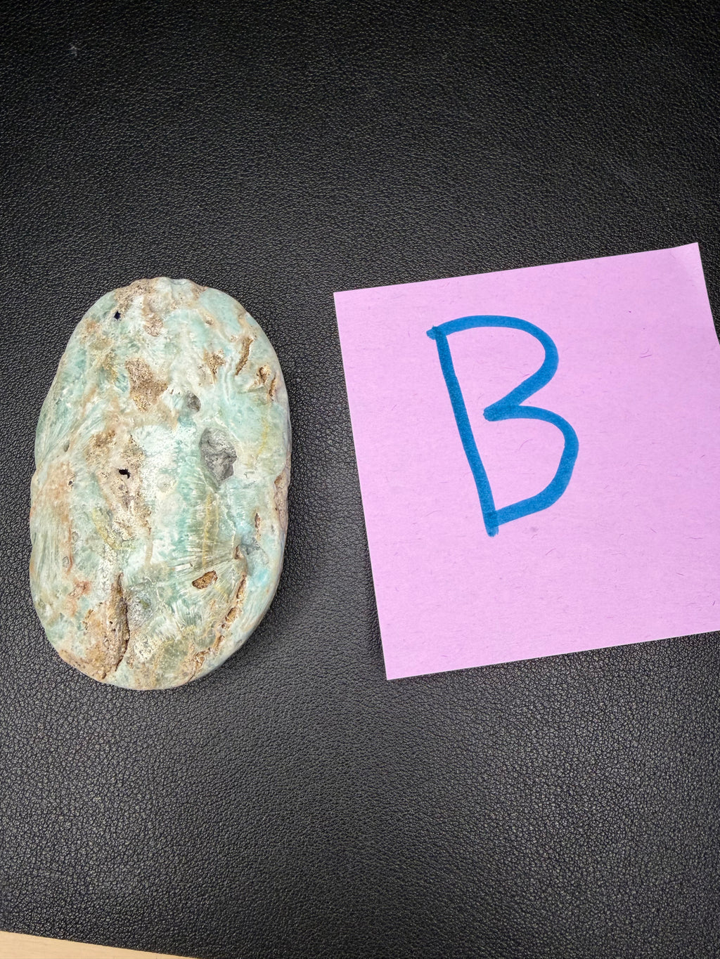 Caribbean Calcite PALM STONE