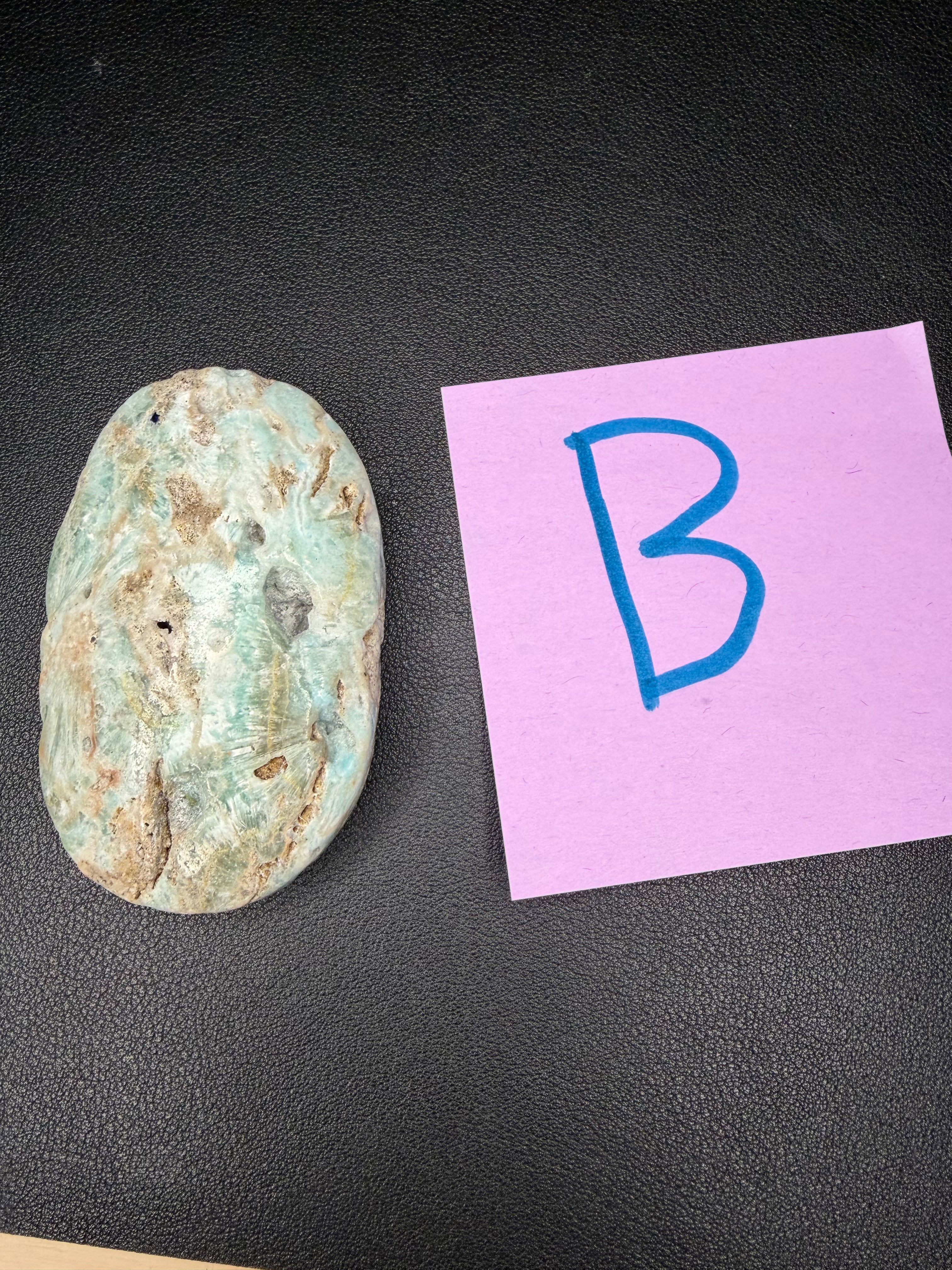 Caribbean Calcite PALM STONE