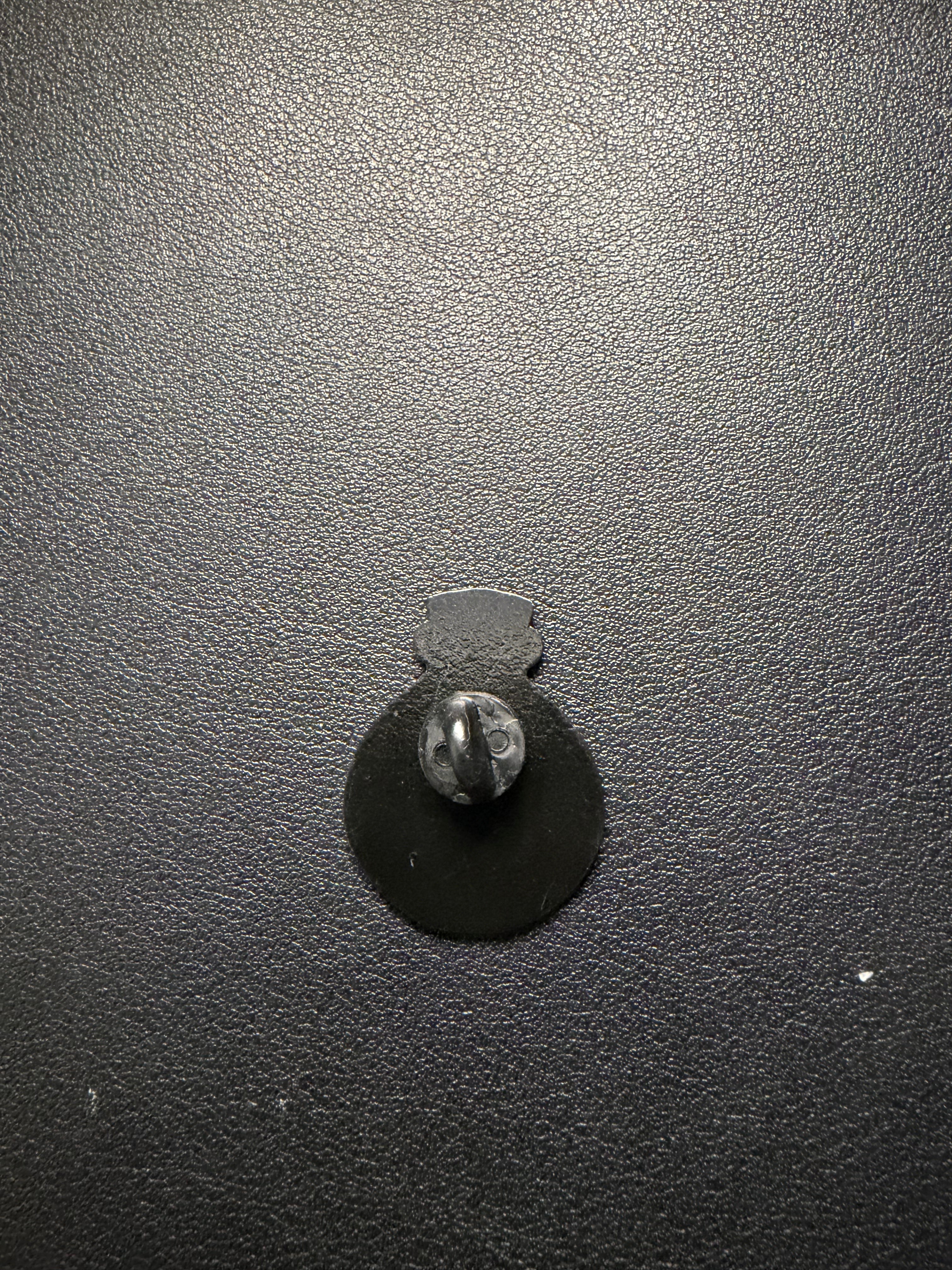 turtle pin