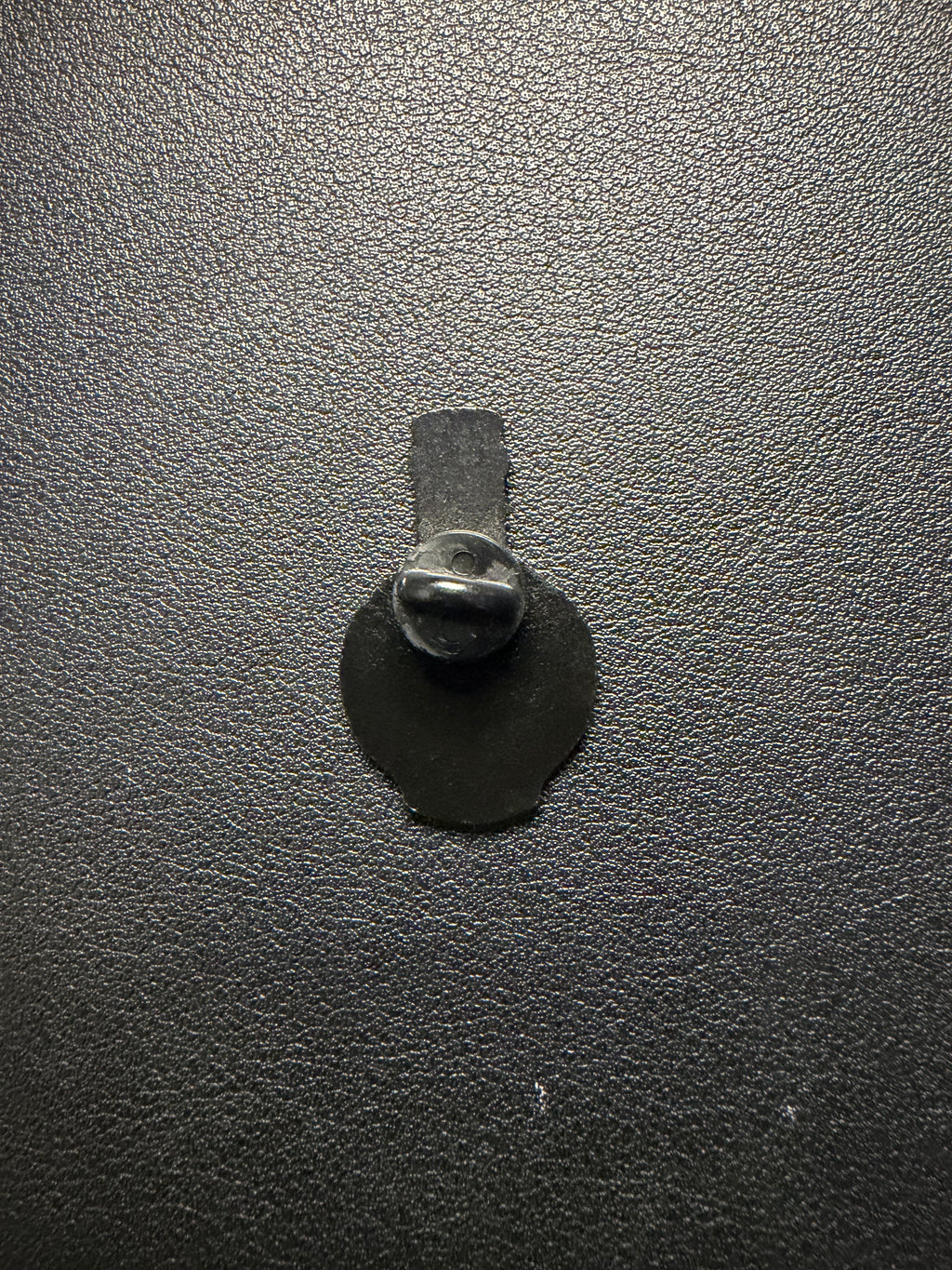 stingray pin