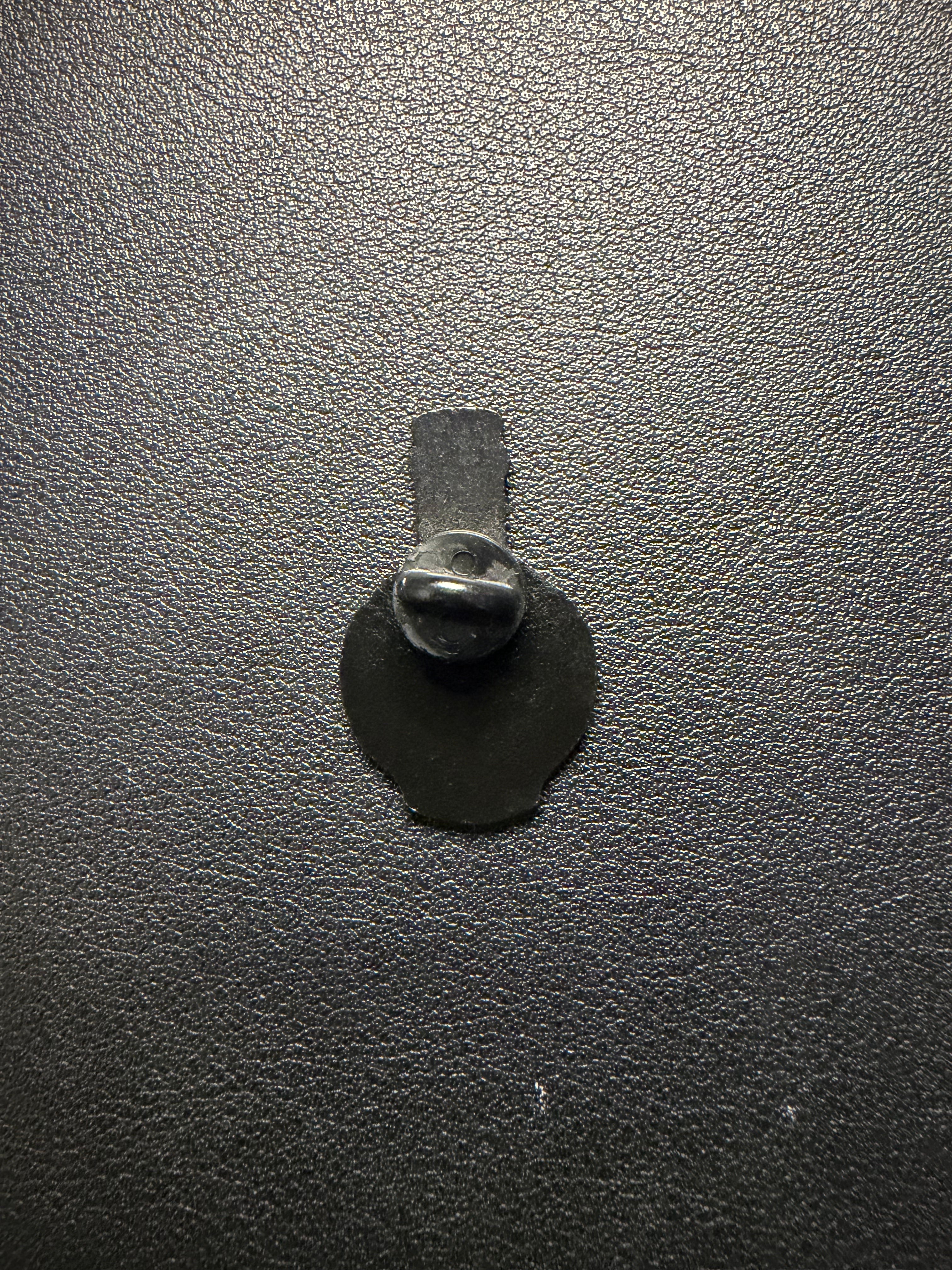 stingray pin