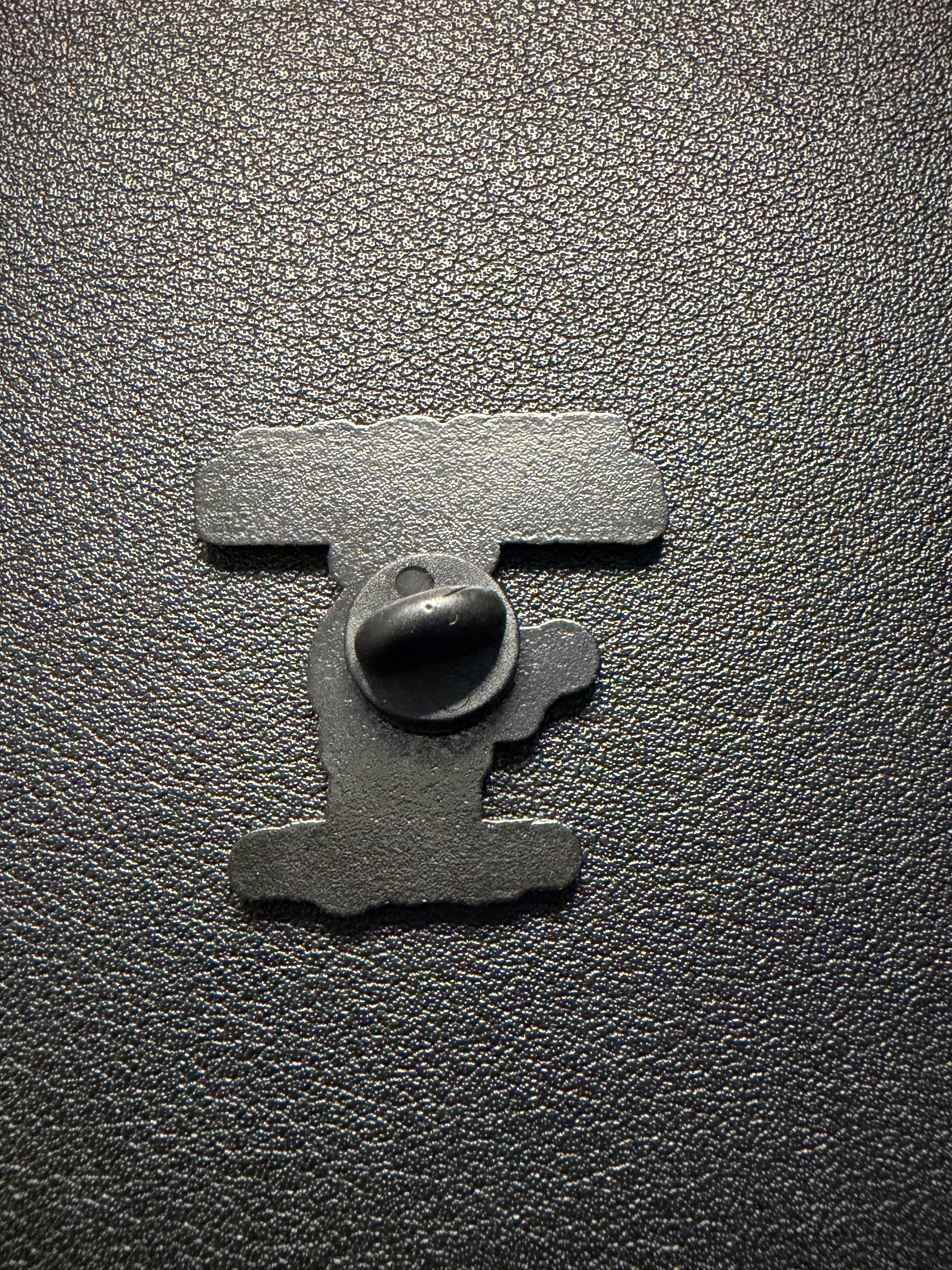 cowboy frog pin
